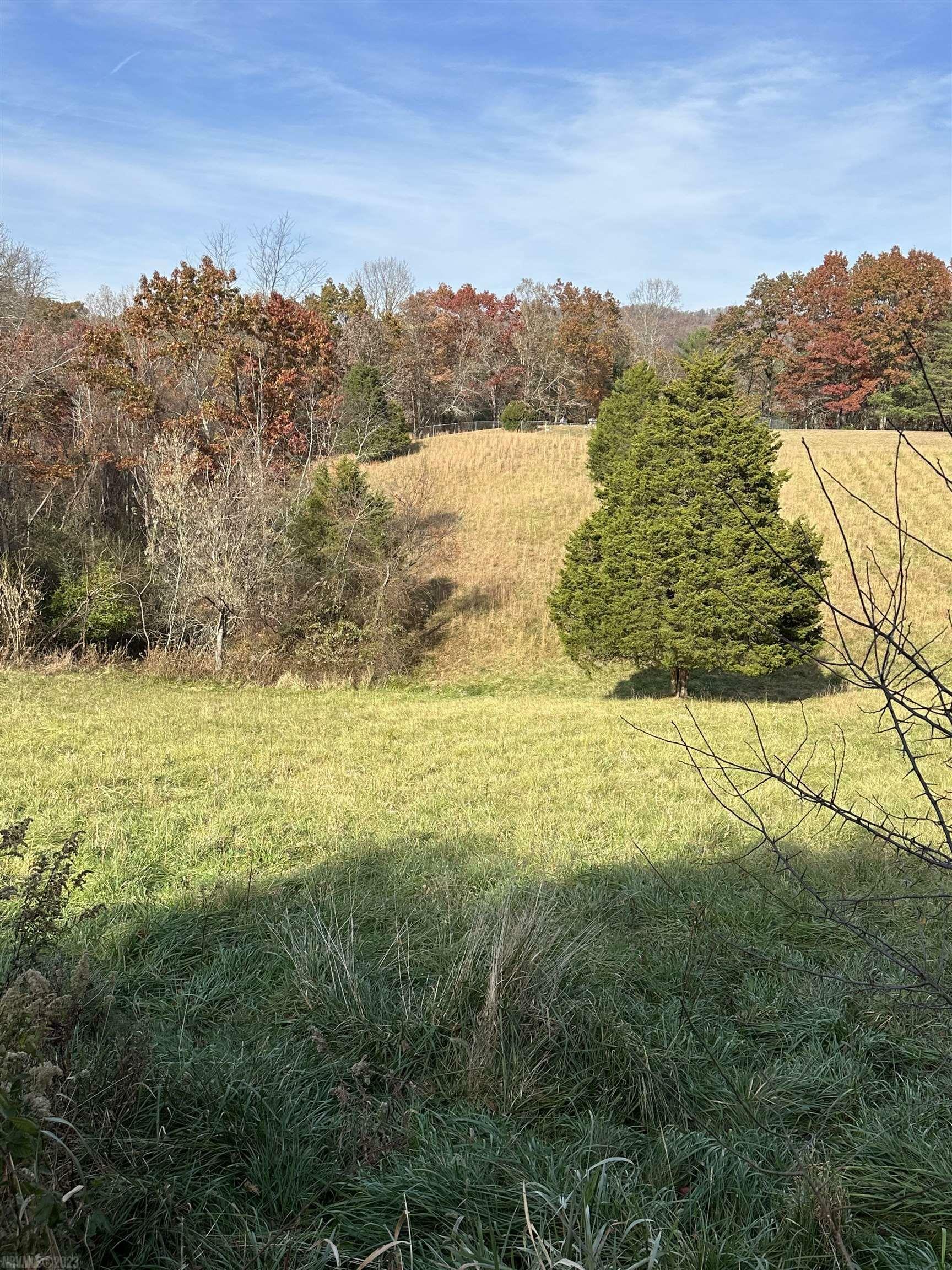 Property Photo: Tbd Centennial Road VA 24060