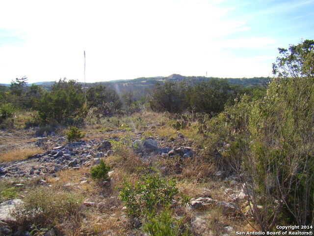 Property Photo: Lot 375 County Road 2744 TX 78056