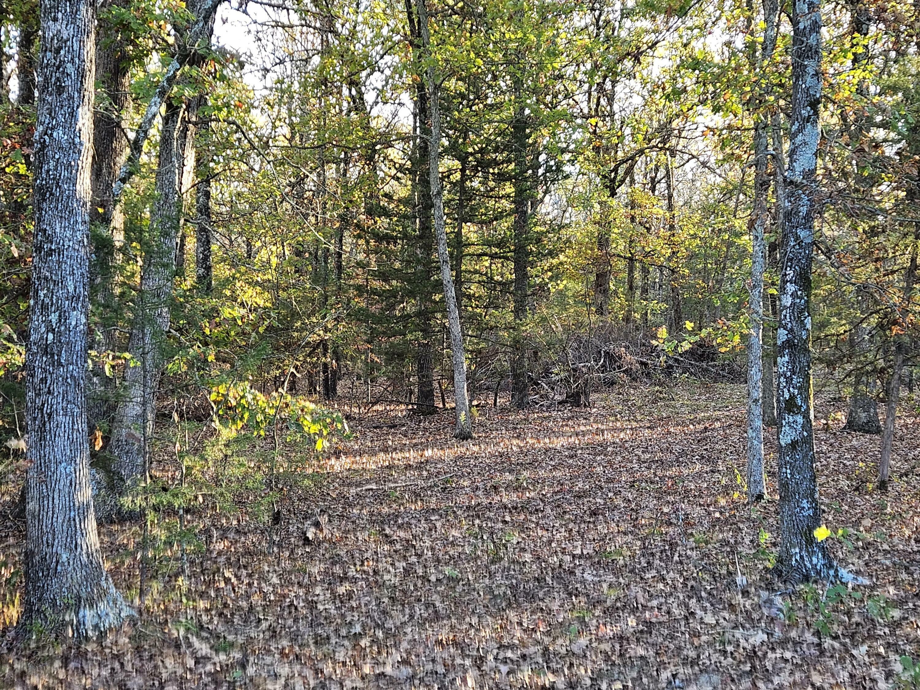 Property Photo:  000 State Highway 174  MO 65705 