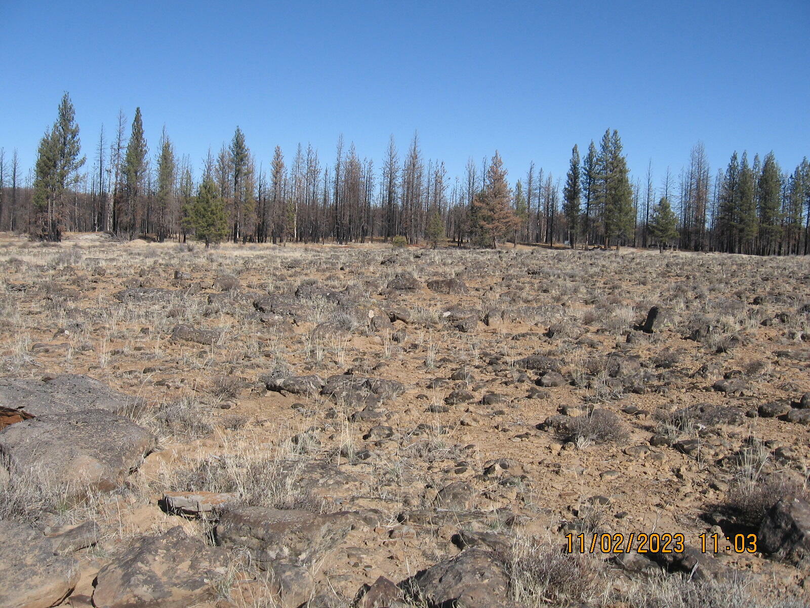 Property Photo:  Lot 16N Shasta Fir Way  OR 97622 