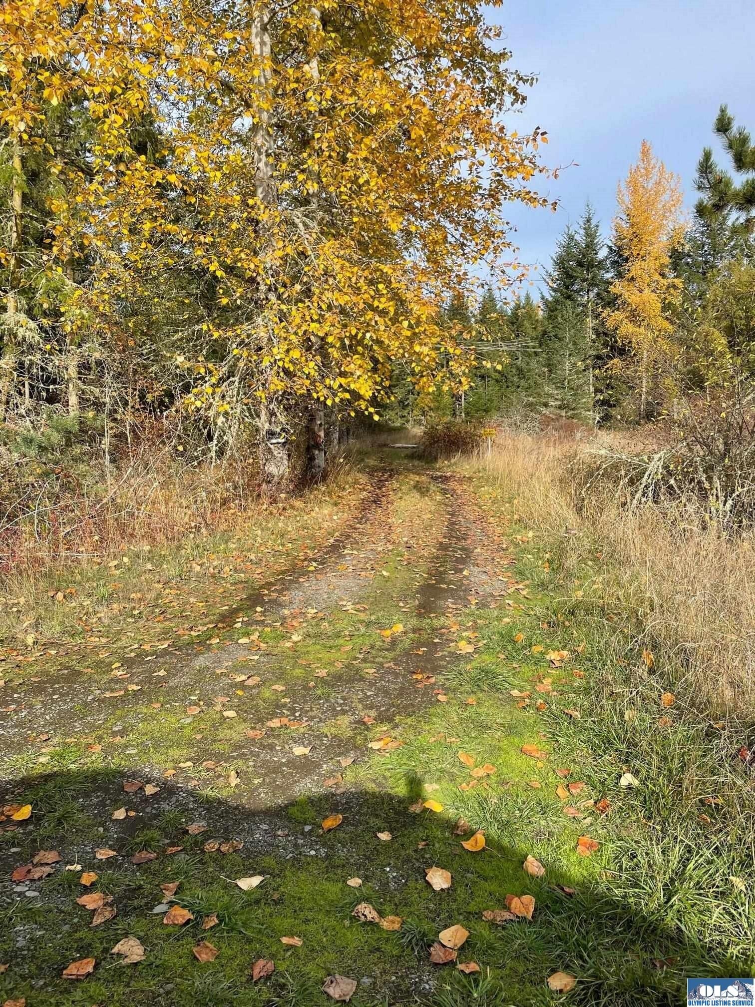 Jqxoreillys Forest Ln 26 - t4ra87h