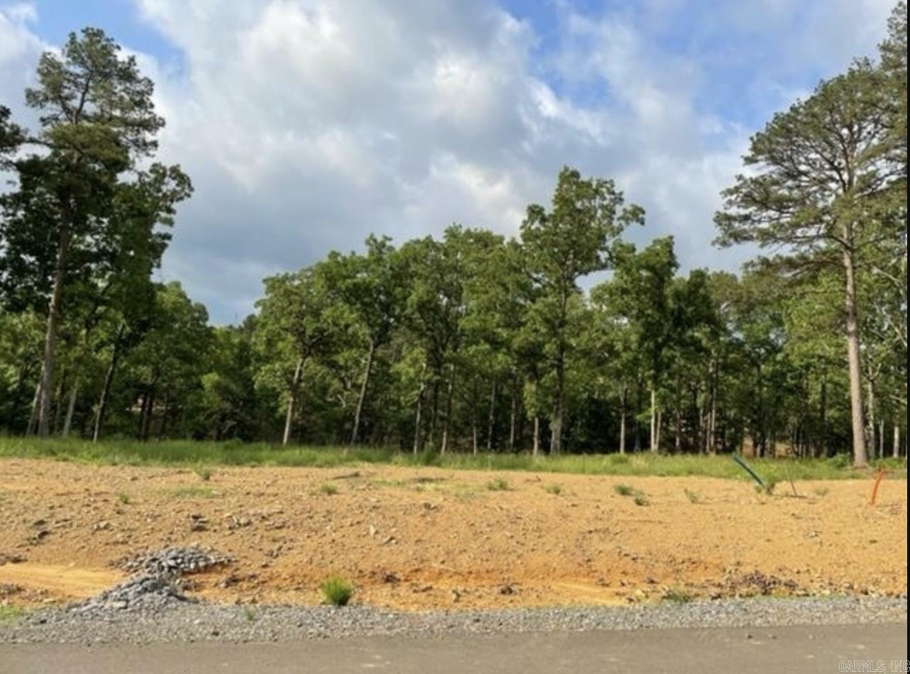 Property Photo:  Lot 1 Ph. 5 Orchard Hill  AR 72034 