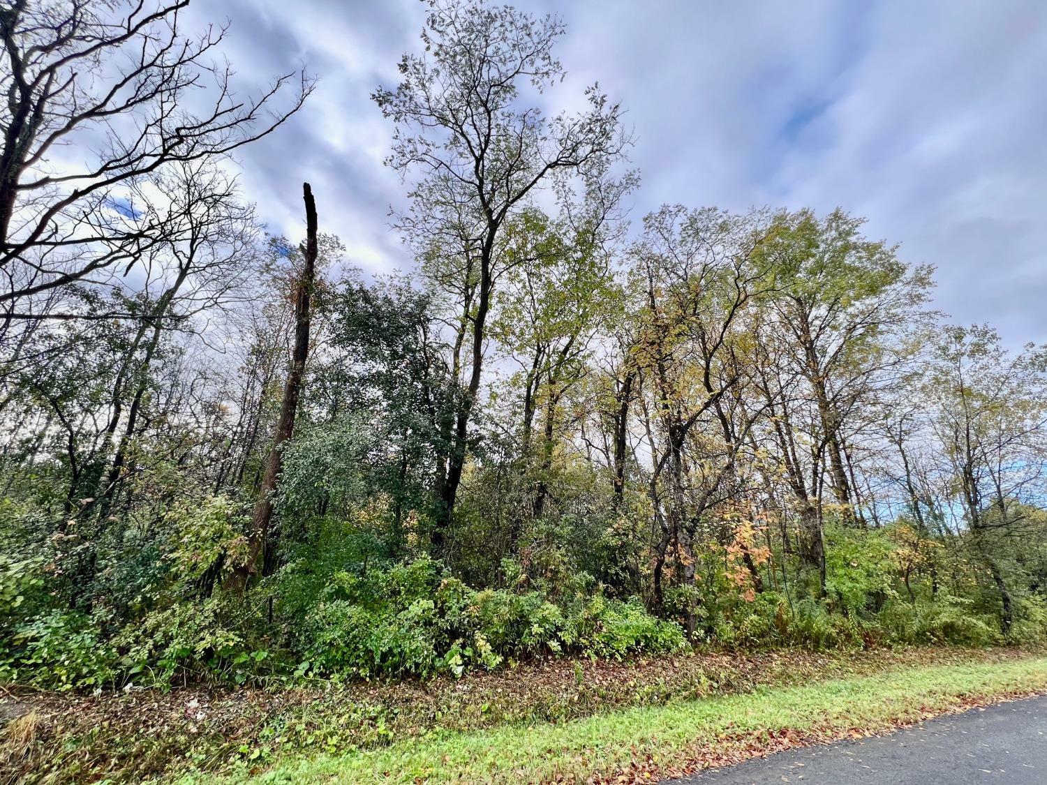 Property Photo:  0 W Enfield Center Road  NY 14850 