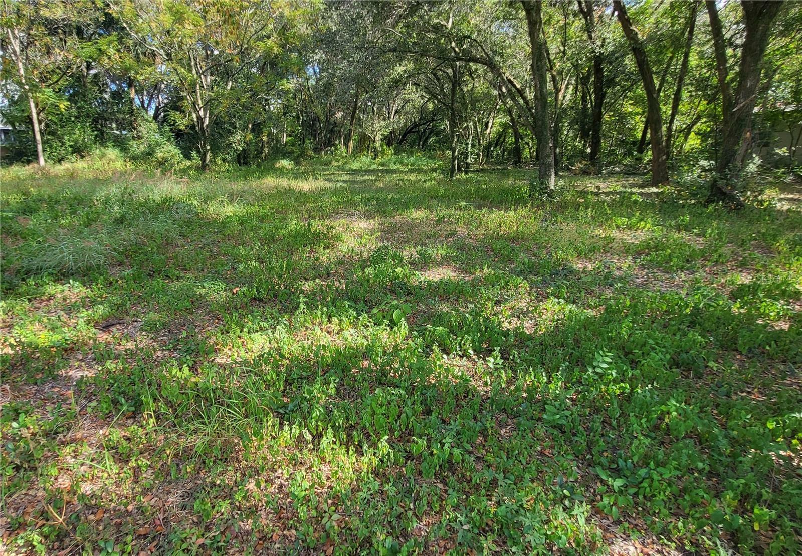 Property Photo:  Thomas Avenue  FL 34748 