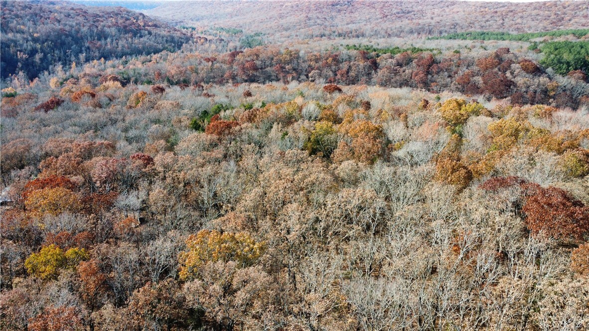 Property Photo:  10097 Old Cabin Road  AR 72959 