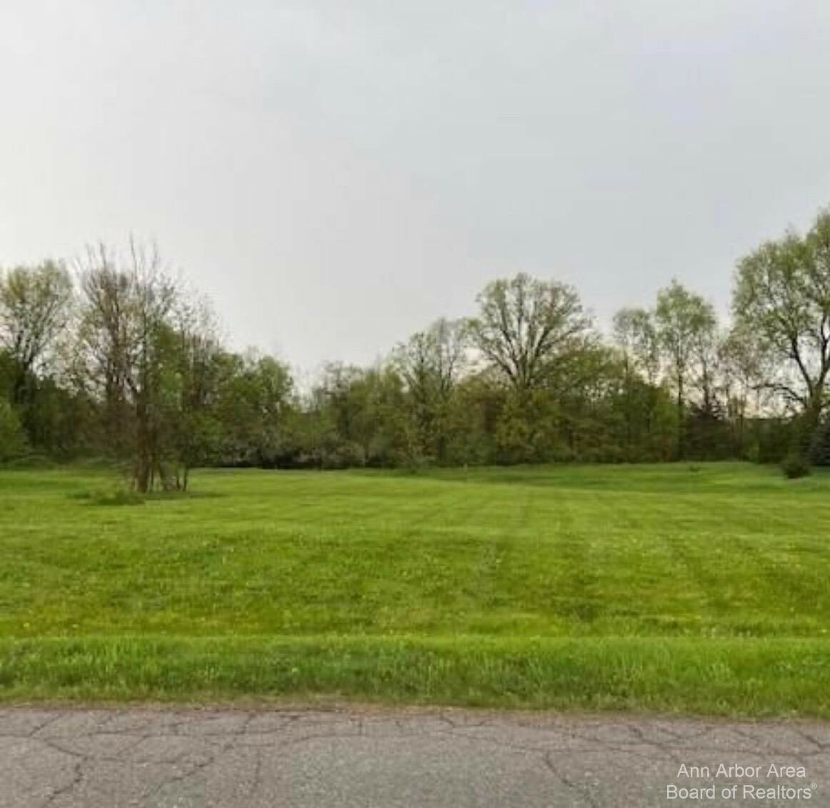 0 Marion Meadows Drive  Howell MI 48843 photo