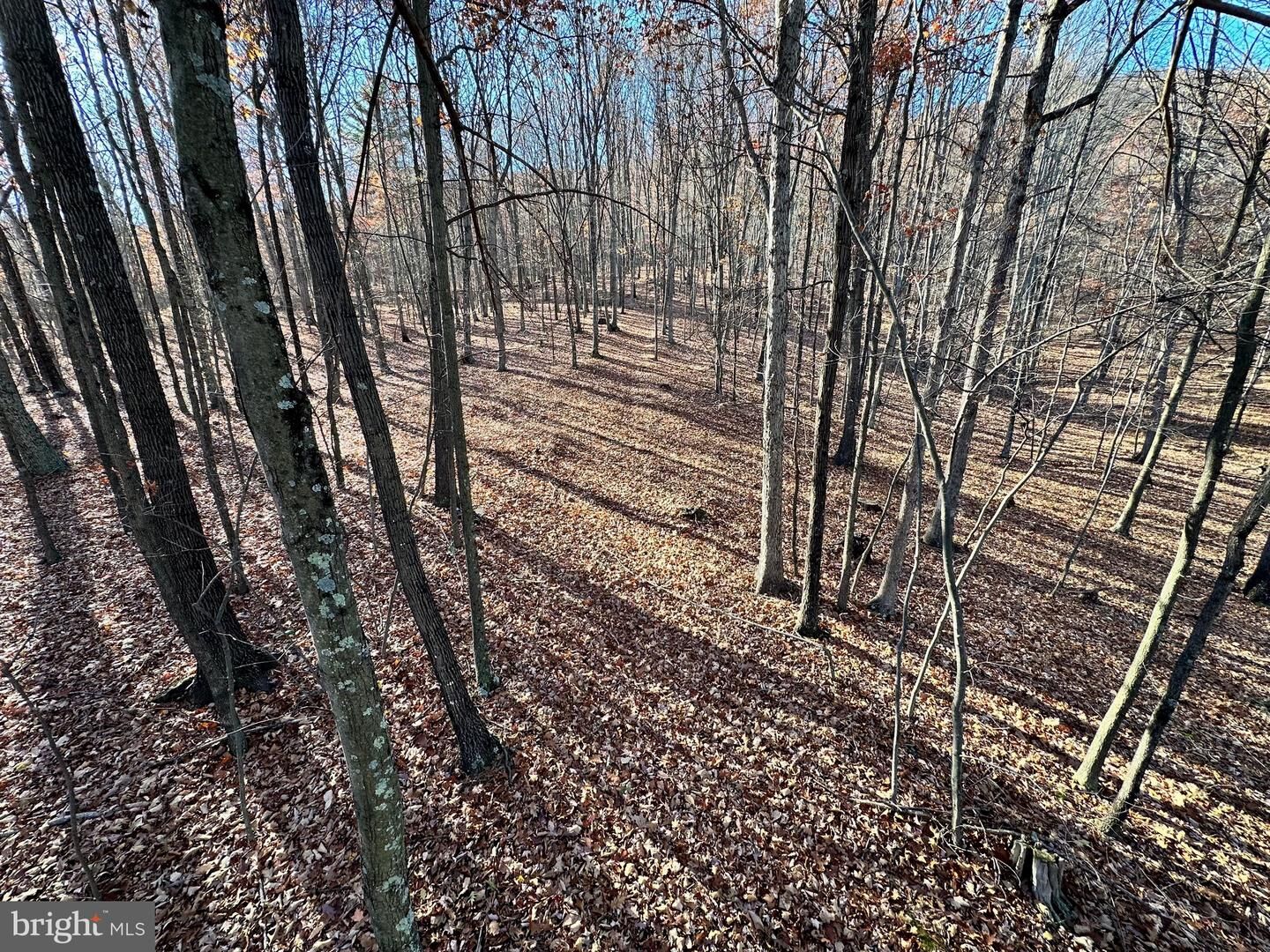 Property Photo: 0 - Off Lower Arksansaw Rd WV 26801