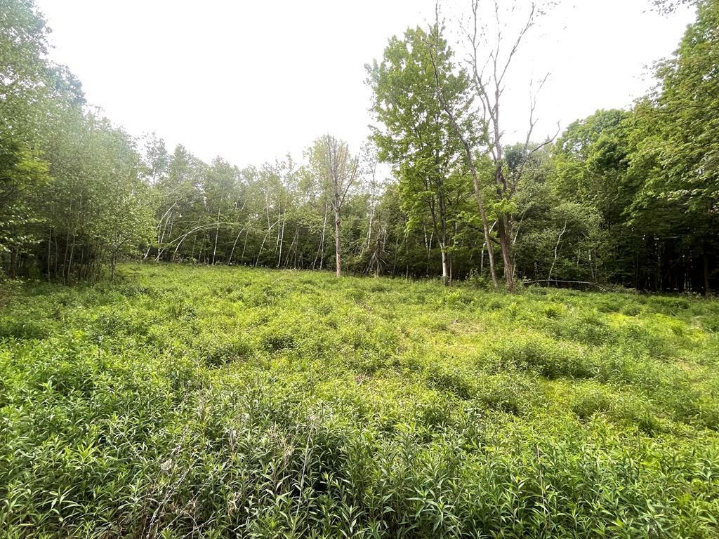 Property Photo:  5.41 Ac Kerrick Hill Road  PA 18848 