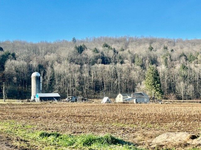 Property Photo:  5256 Sprouse Road  NY 13158 