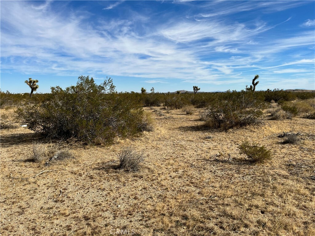 Property Photo: 57 Fickett Ave & 57th W CA 93536