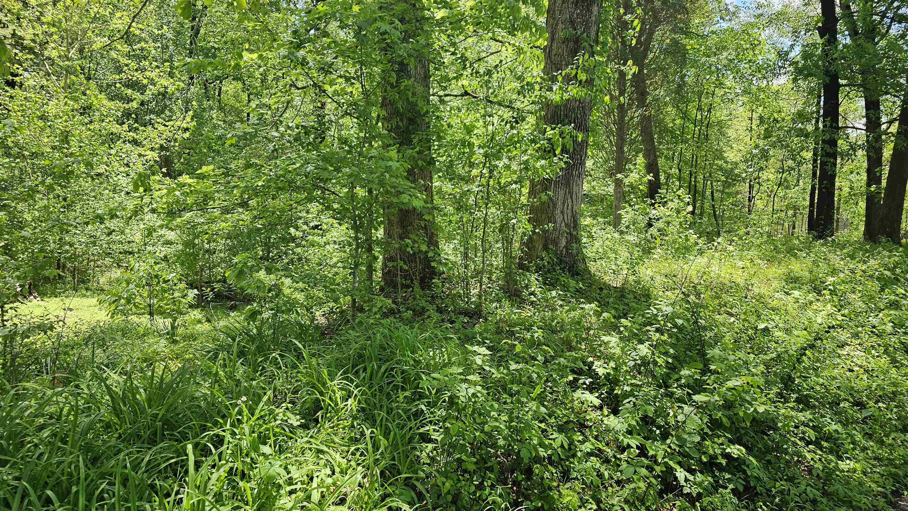 Property Photo: 2850 N Negley Rd KY 42420