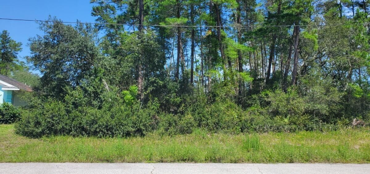 Property Photo:  Tbd SW 171 Place  FL 34471 