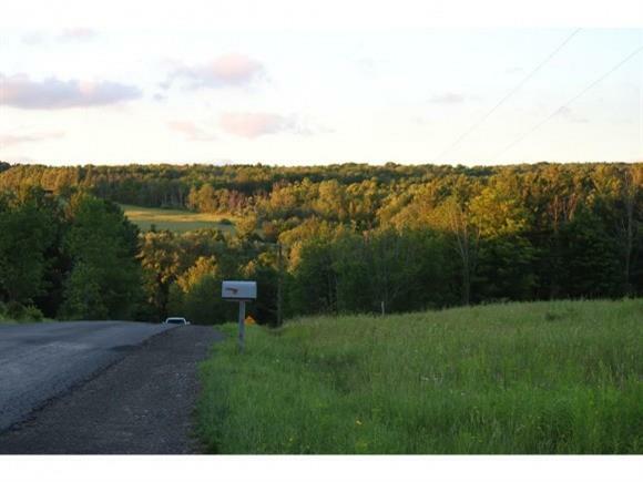 Property Photo:  0 Durfee Hill Lot A  NY 14850 