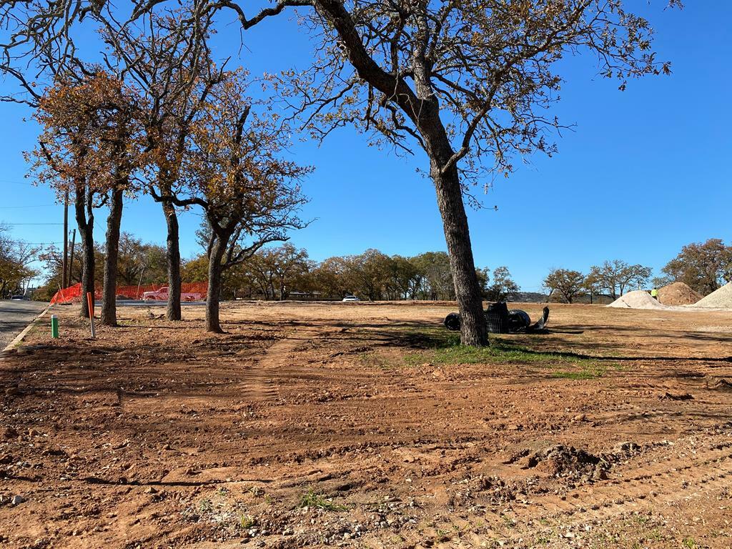 Property Photo:  219 Cemetary Rd  TX 78624 