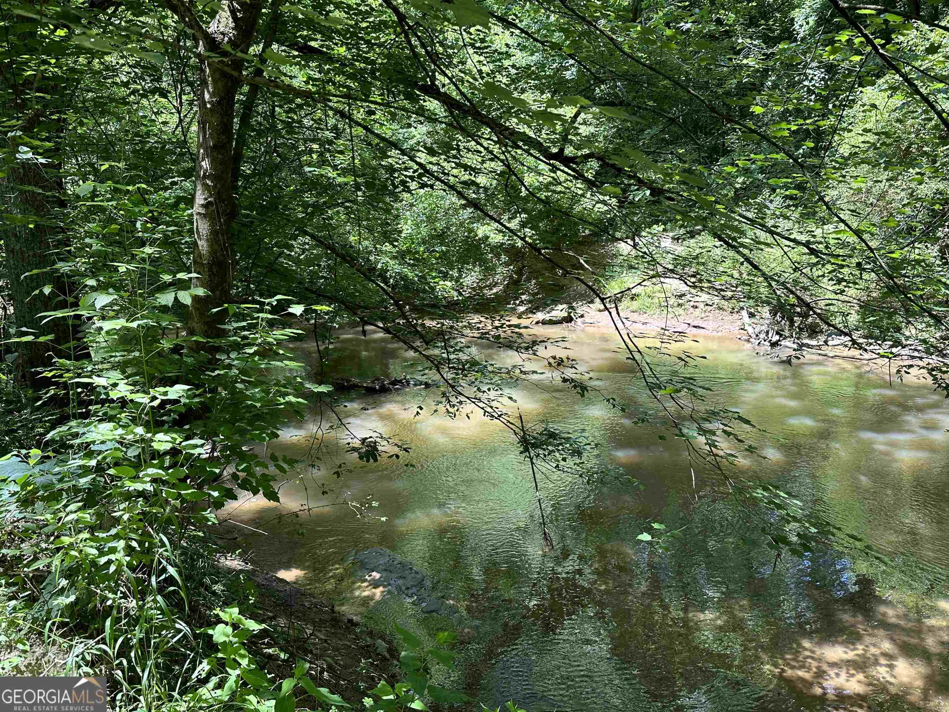 Property Photo: 115 Mary Lane GA 30558