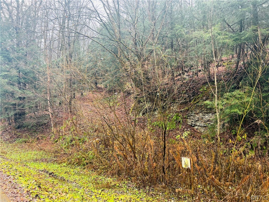 Property Photo:  0 W Cheningo Road Road  NY 13158 