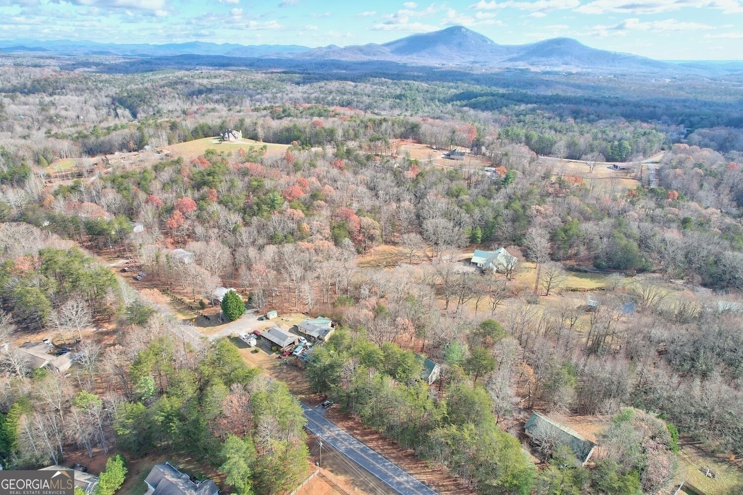 Property Photo:  1210 Highway 75 Alt  GA 30528 