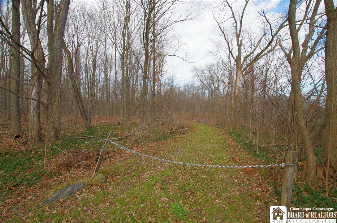 Property Photo:  6630 Woleben Road  NY 14769 