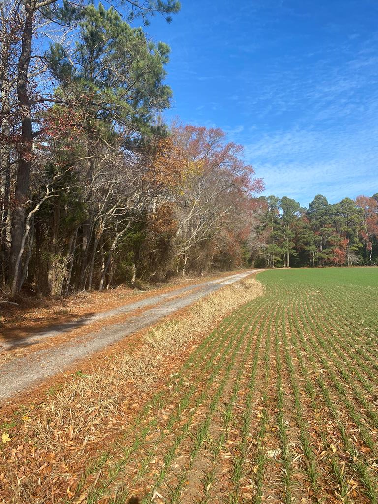 Property Photo:  Lot 1 Royal Woods Ln  VA 23306 