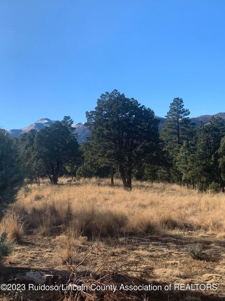 - Hwy 48  Alto NM 88312 photo