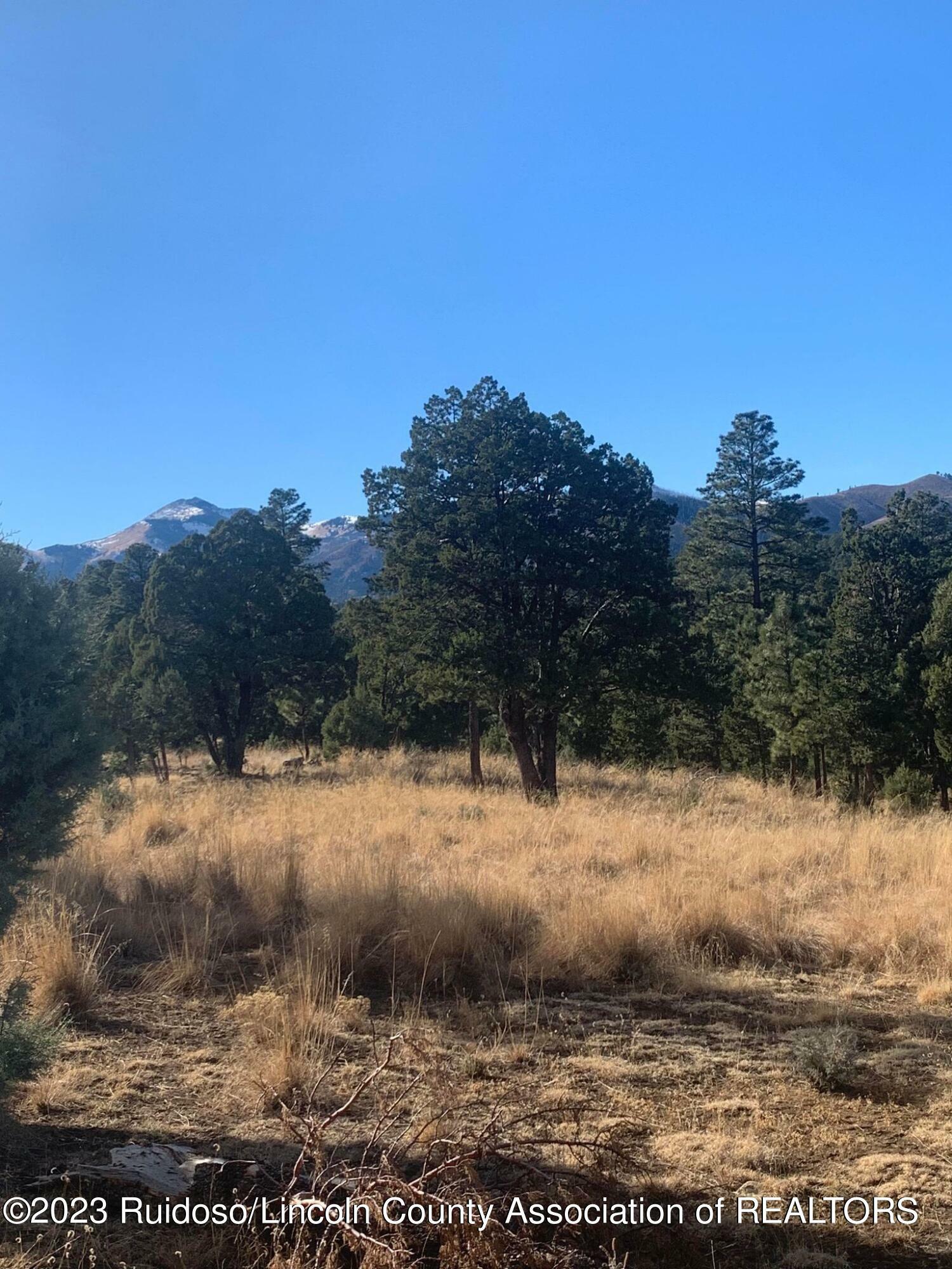 Property Photo: - Hwy 48 NM 88312