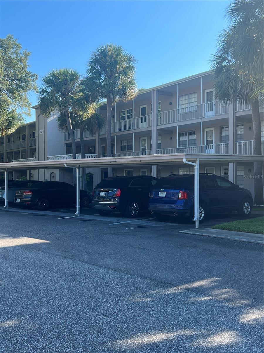 Property Photo: 821 Patricia Avenue 205 FL 34698