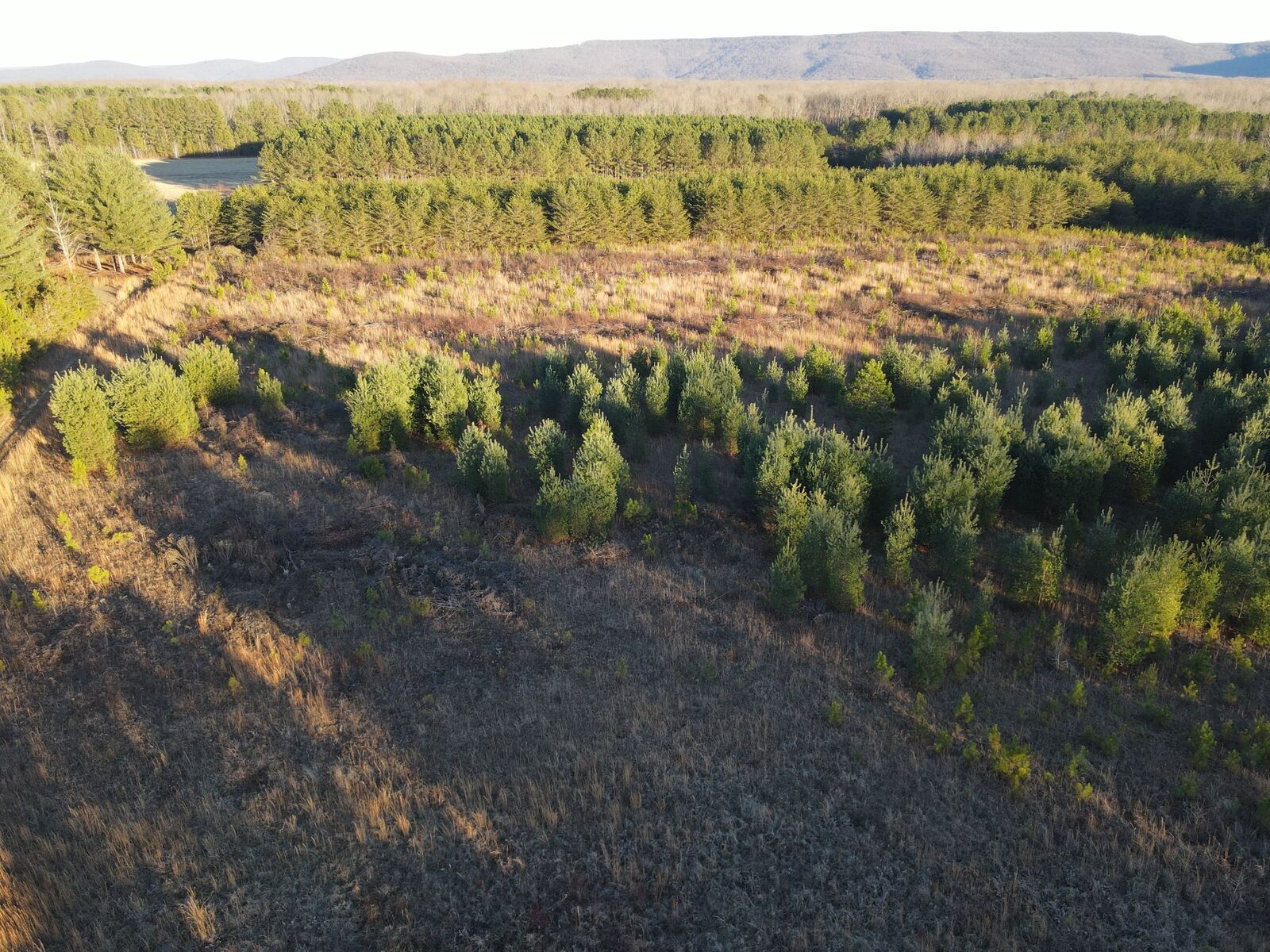 Property Photo: 0 Hickerson Road TN 37355
