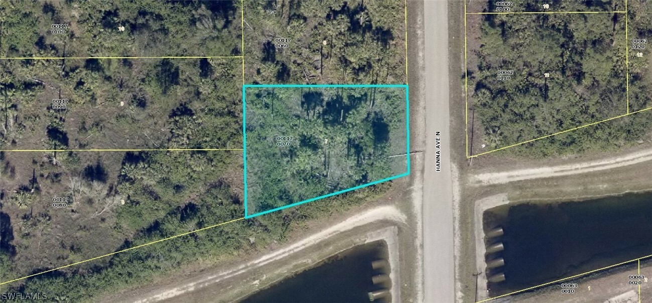 Property Photo:  2901 Hanna Avenue N  FL 33971 