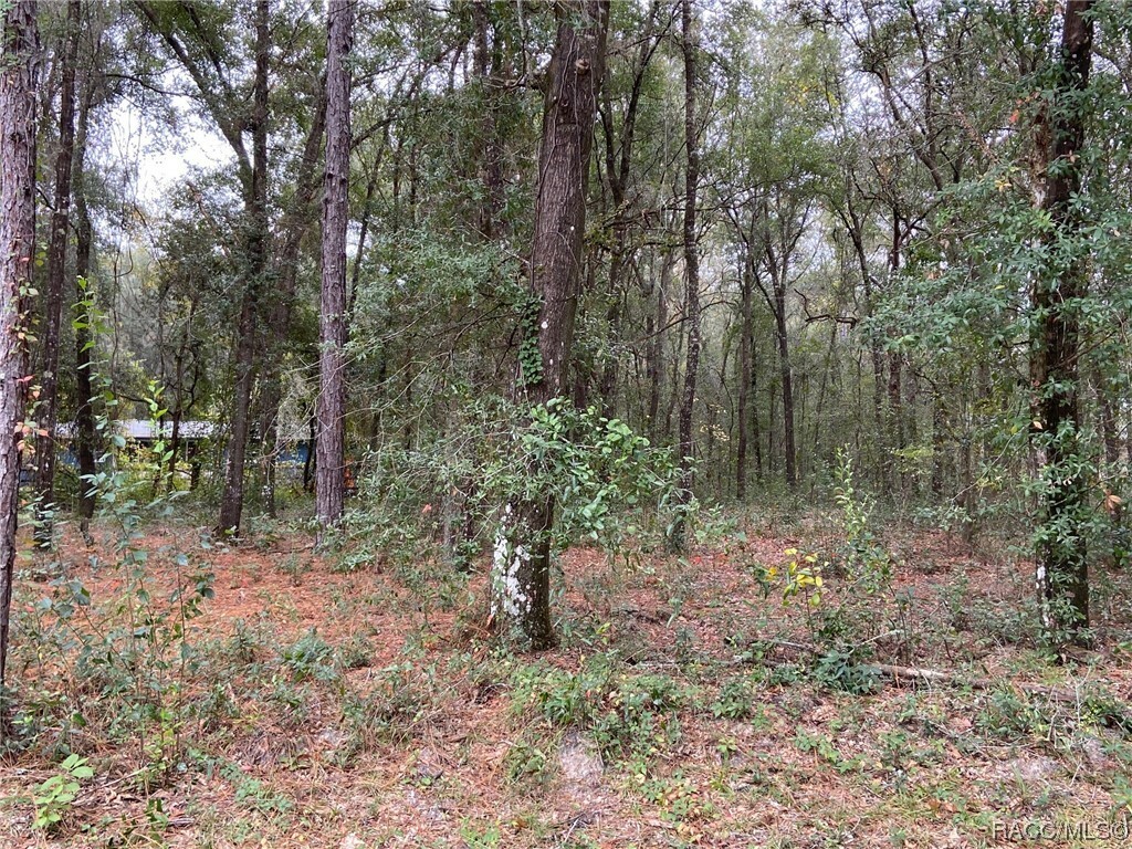 Property Photo:  3604 E Maxwell Place  FL 34453 