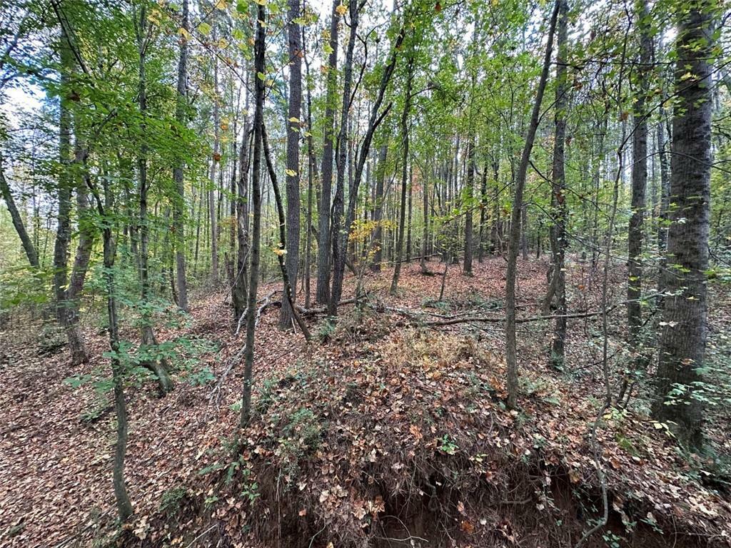 Property Photo:  00 Villa Rica Highway/Highway 61  GA 30157 