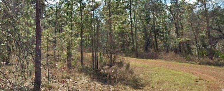 Property Photo:  15525 Cliff Swallow Road  FL 34614 