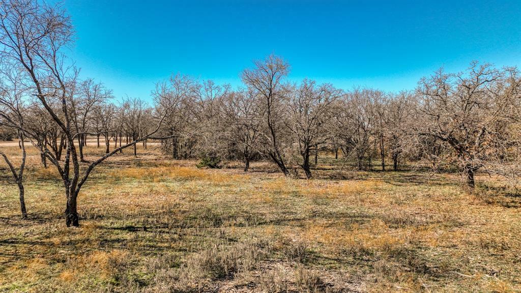 Property Photo:  Tbd Rambling Road  TX 76486 