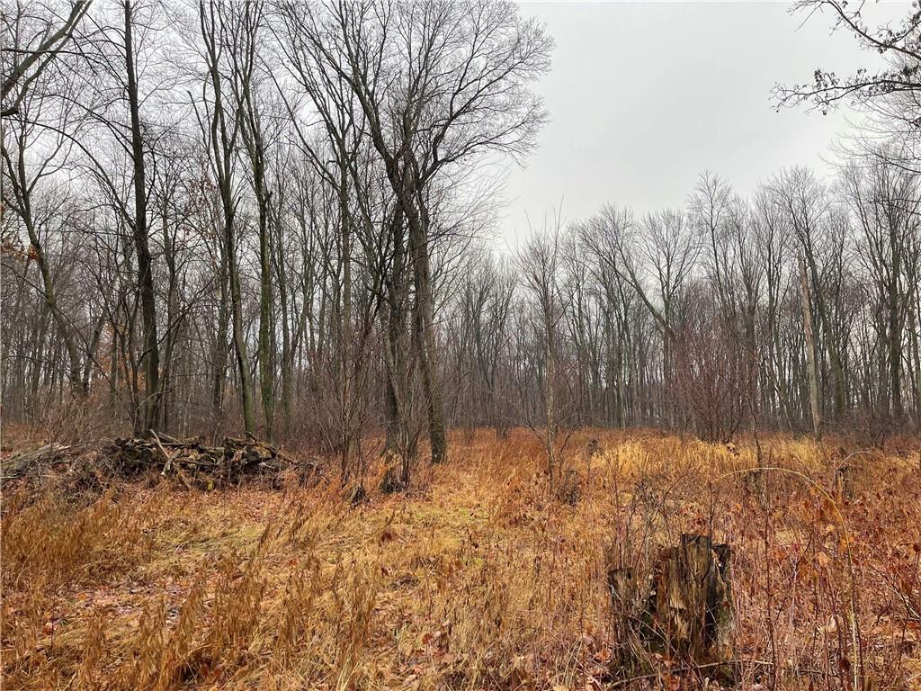 Property Photo:  0 160th Avenue  WI 54724 