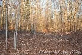 Property Photo:  00 Bogel Road  CT 06423 