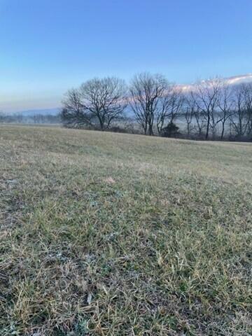 Property Photo:  1800 35 Tract 9 Hwy  KY 41083 