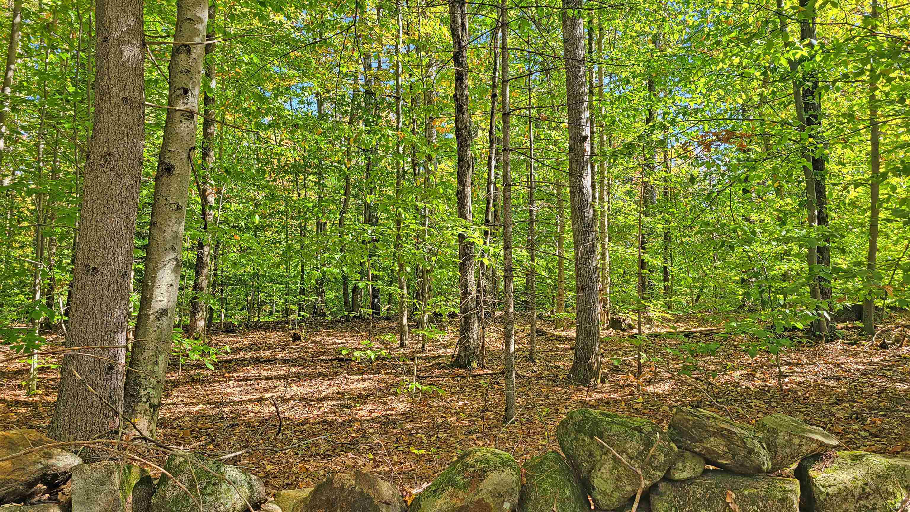 Property Photo: Lot 15 Frescoln Road NH 03282