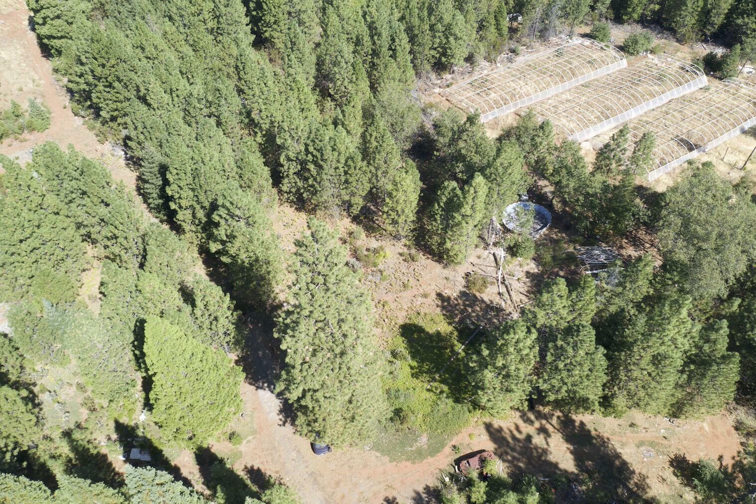 Property Photo:  18655 Seclusion Dr  CA 96065 