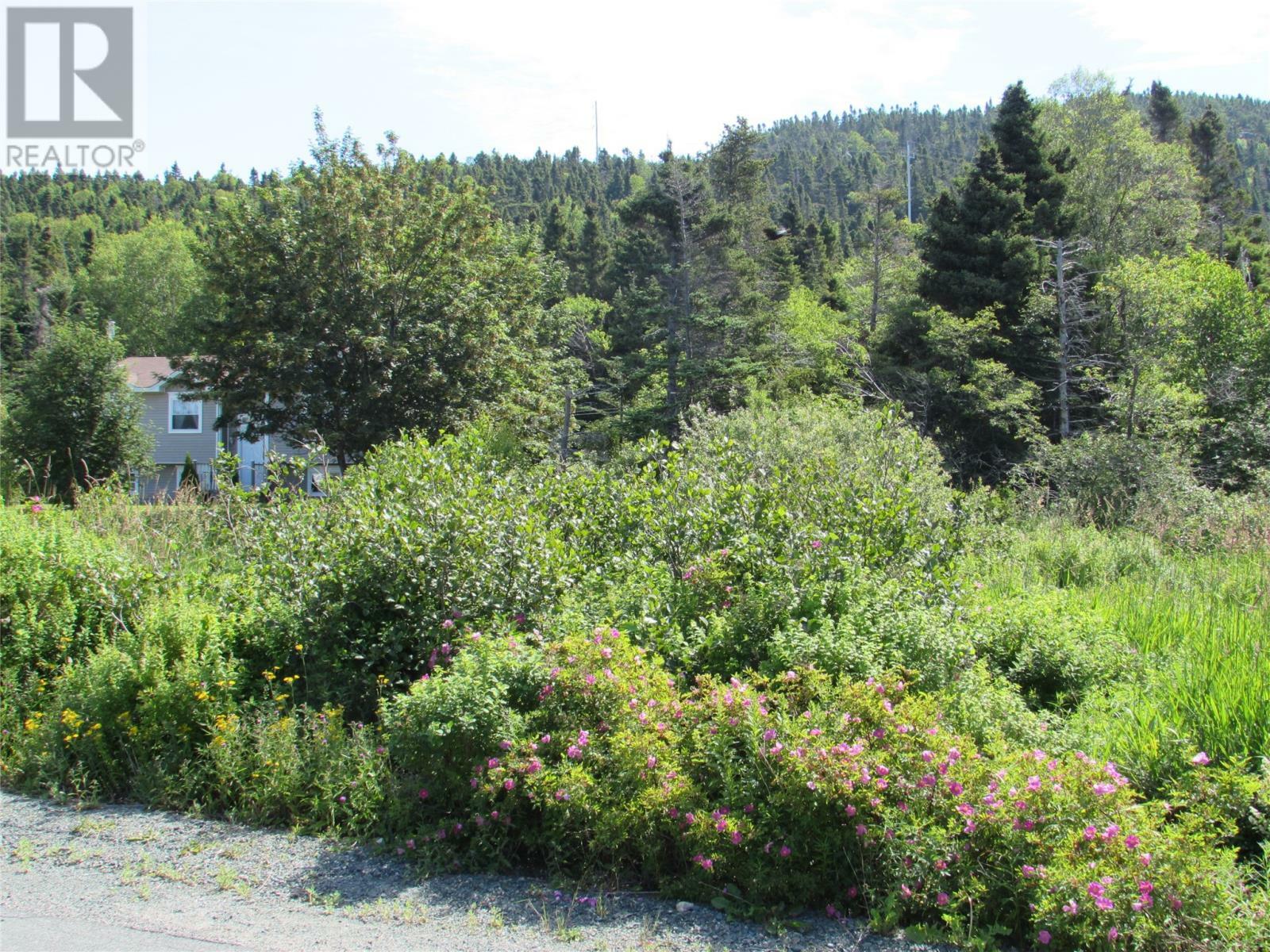 Property Photo:  111 - 117 Mountain View Road  NL A1W 1M6 