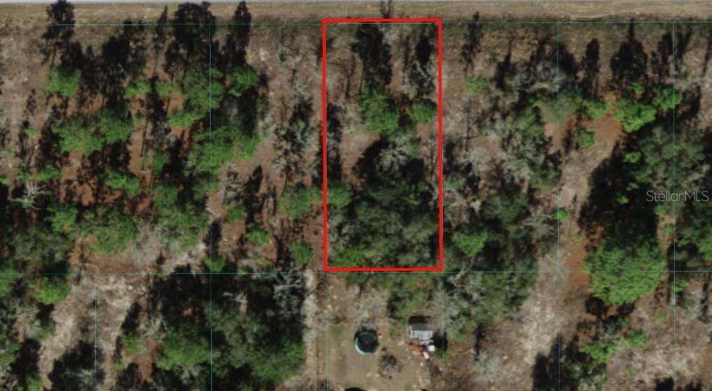 Property Photo: Tbd SW Marine Boulevard FL 34431