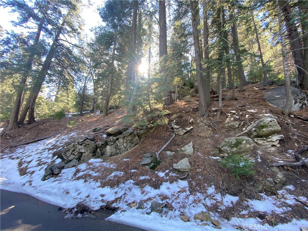 Property Photo:  0 Forest Lane  CA 92391 