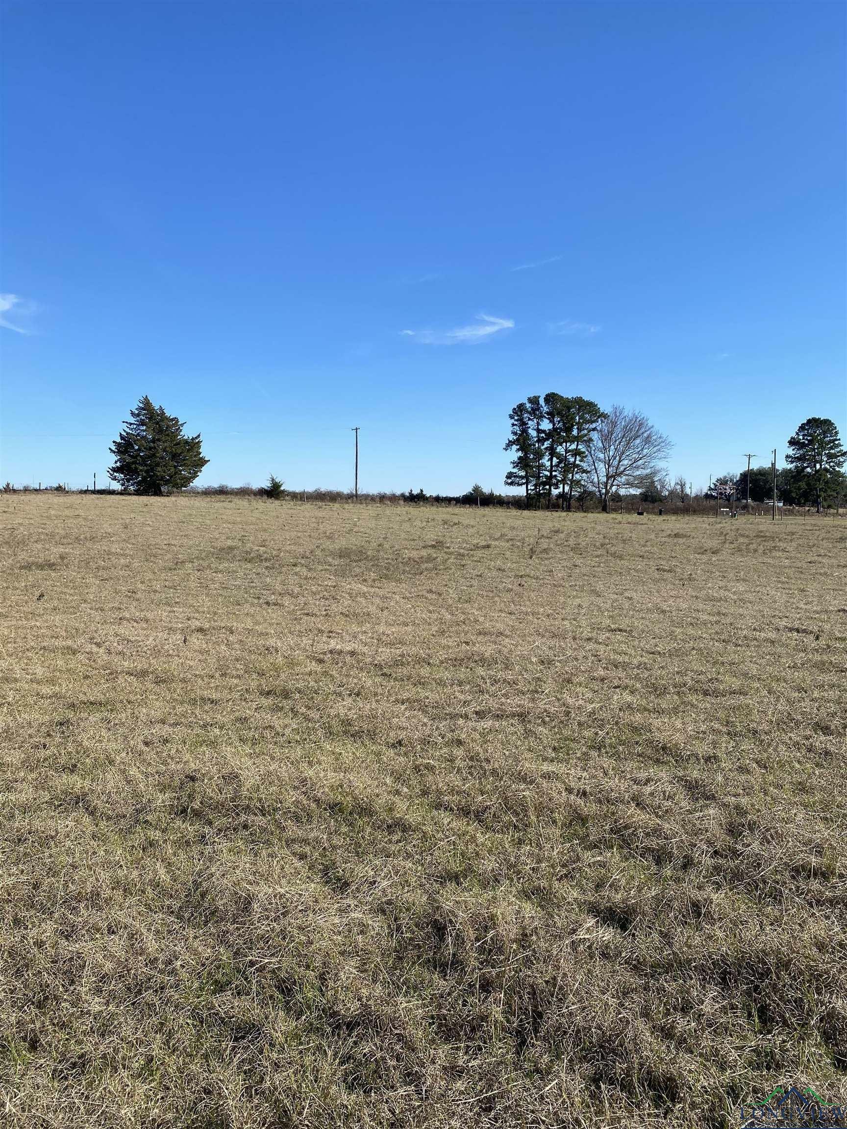 Property Photo:  Tbd Bayberry Rd (Lot 6)  TX 75645 
