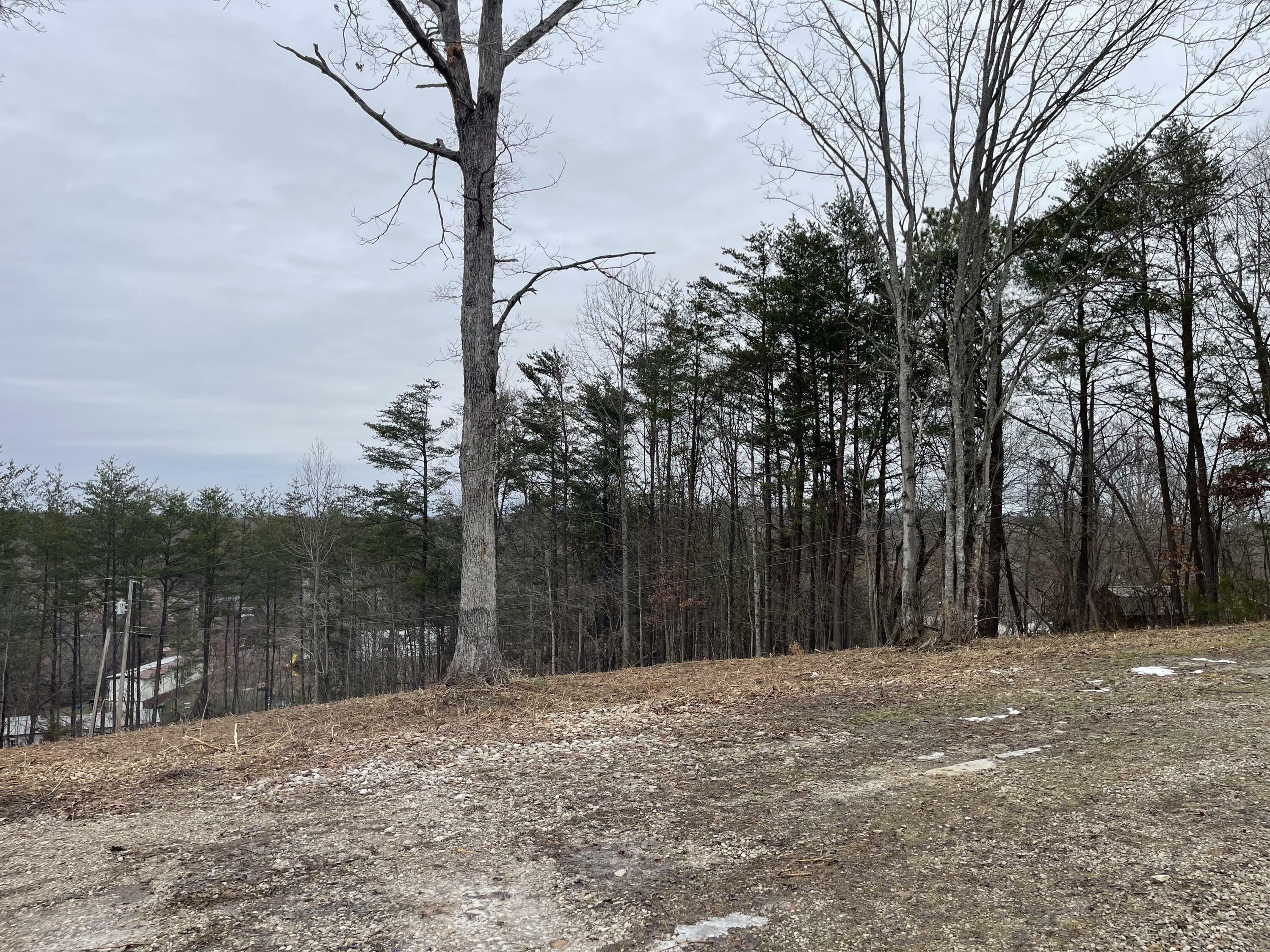 Property Photo:  9999 Gumm Road  KY 40741 