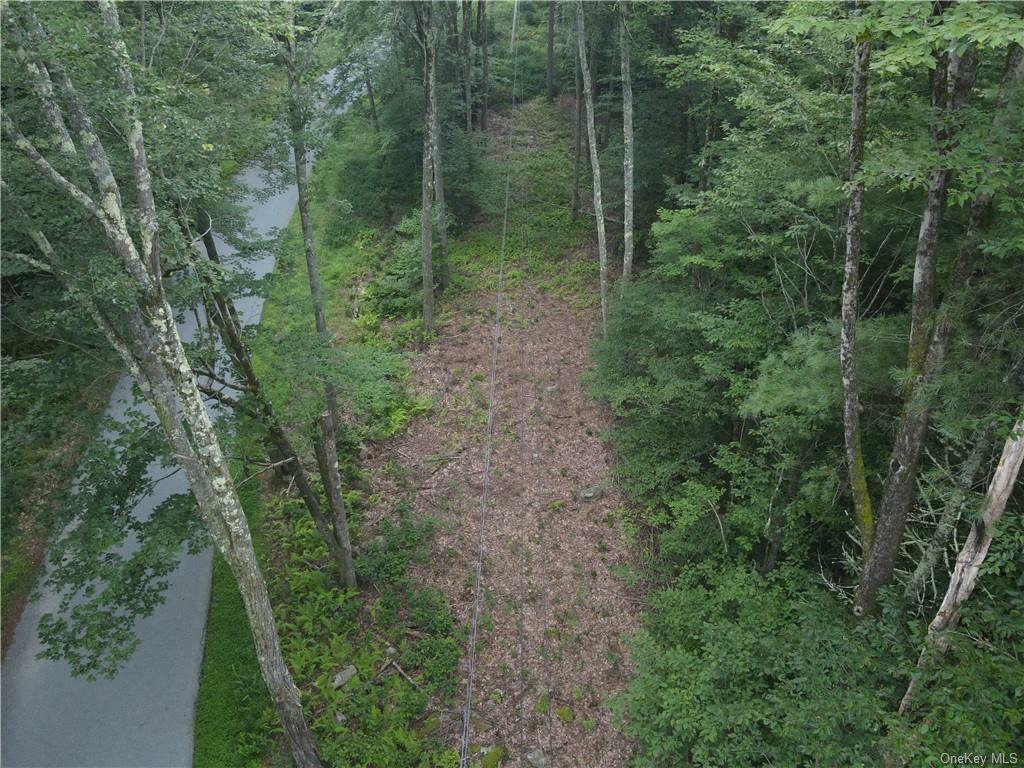 Property Photo:  Lot 14 Tyler Road  NY 12726 