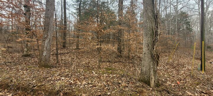 Property Photo: 1 Tobaccoport Circle TN 37028