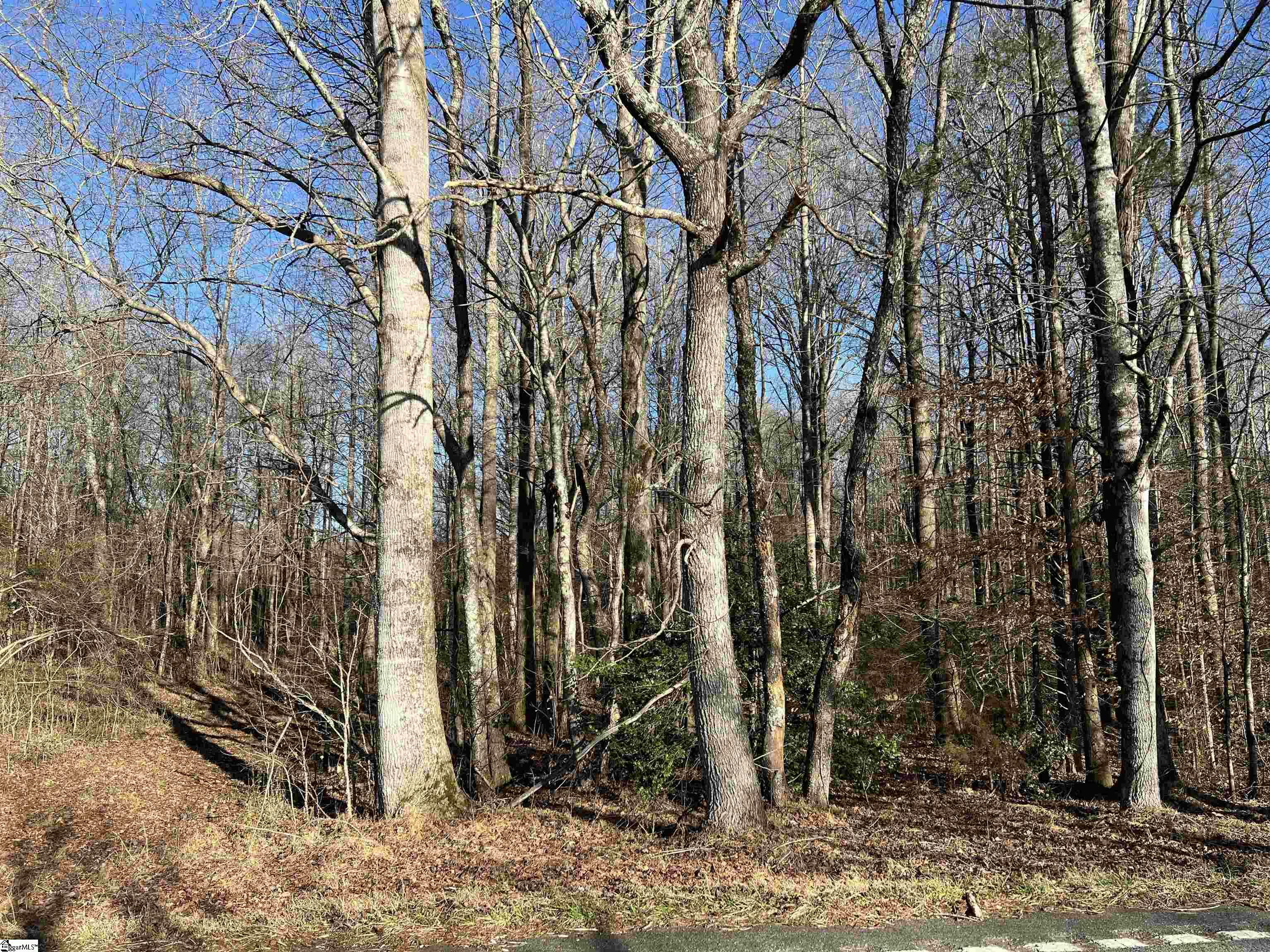 Property Photo:  000 Hester Store Road Lot 3  SC 29640 