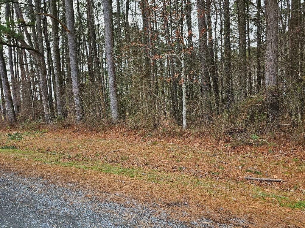 Property Photo:  Lot 2 Bull Branch Dr  VA 23417 