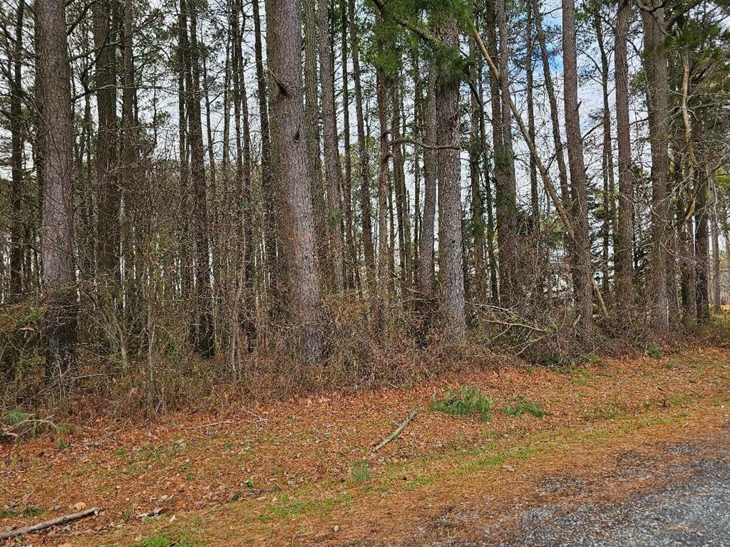 Property Photo: Lot 2 Bull Branch Dr VA 23417