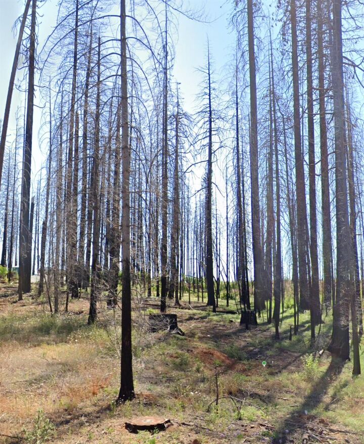 Property Photo:  5202 Wooded Glen Road  CA 95636 