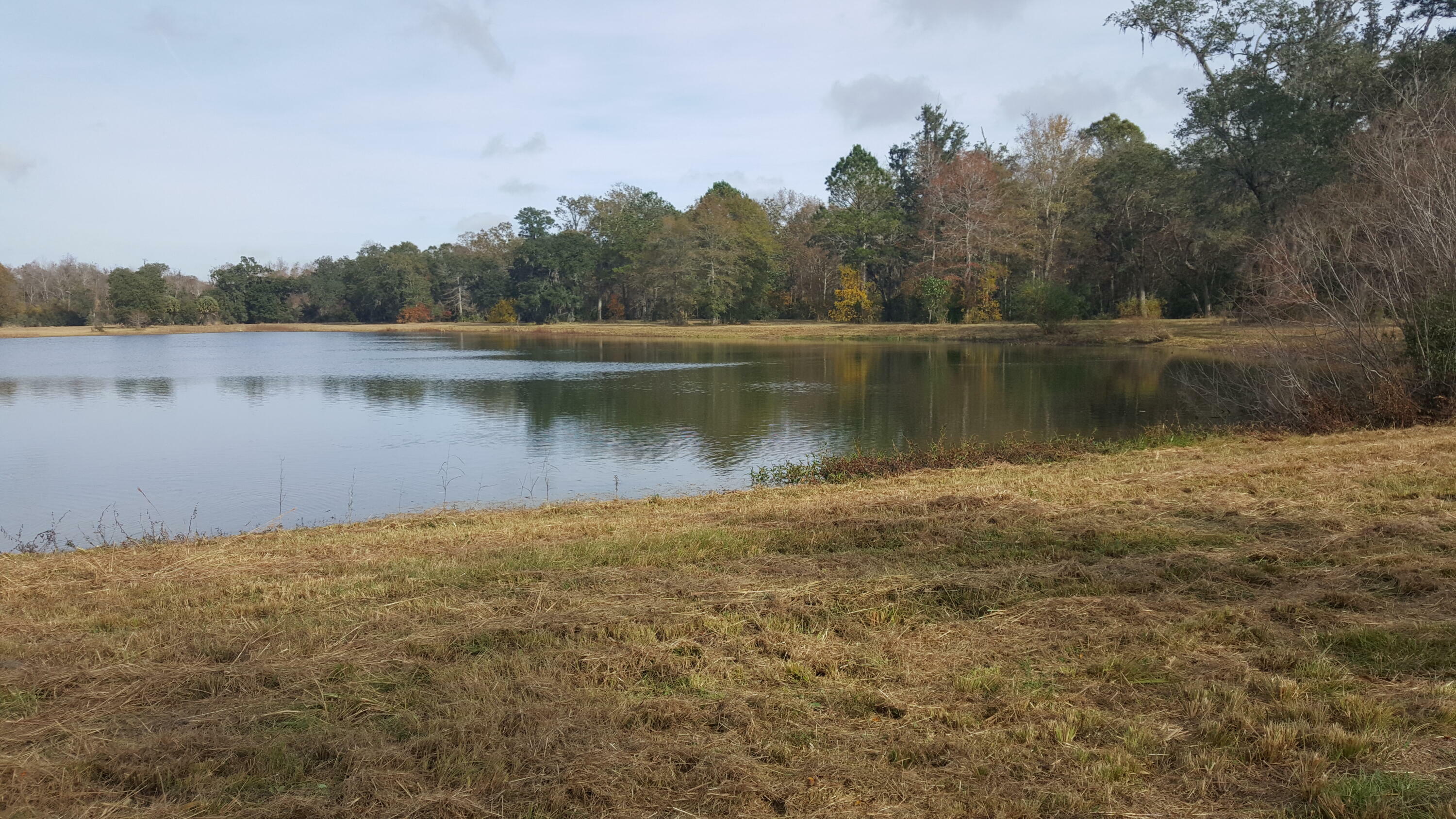 Property Photo:  4183 Chisolm Road  SC 29455 