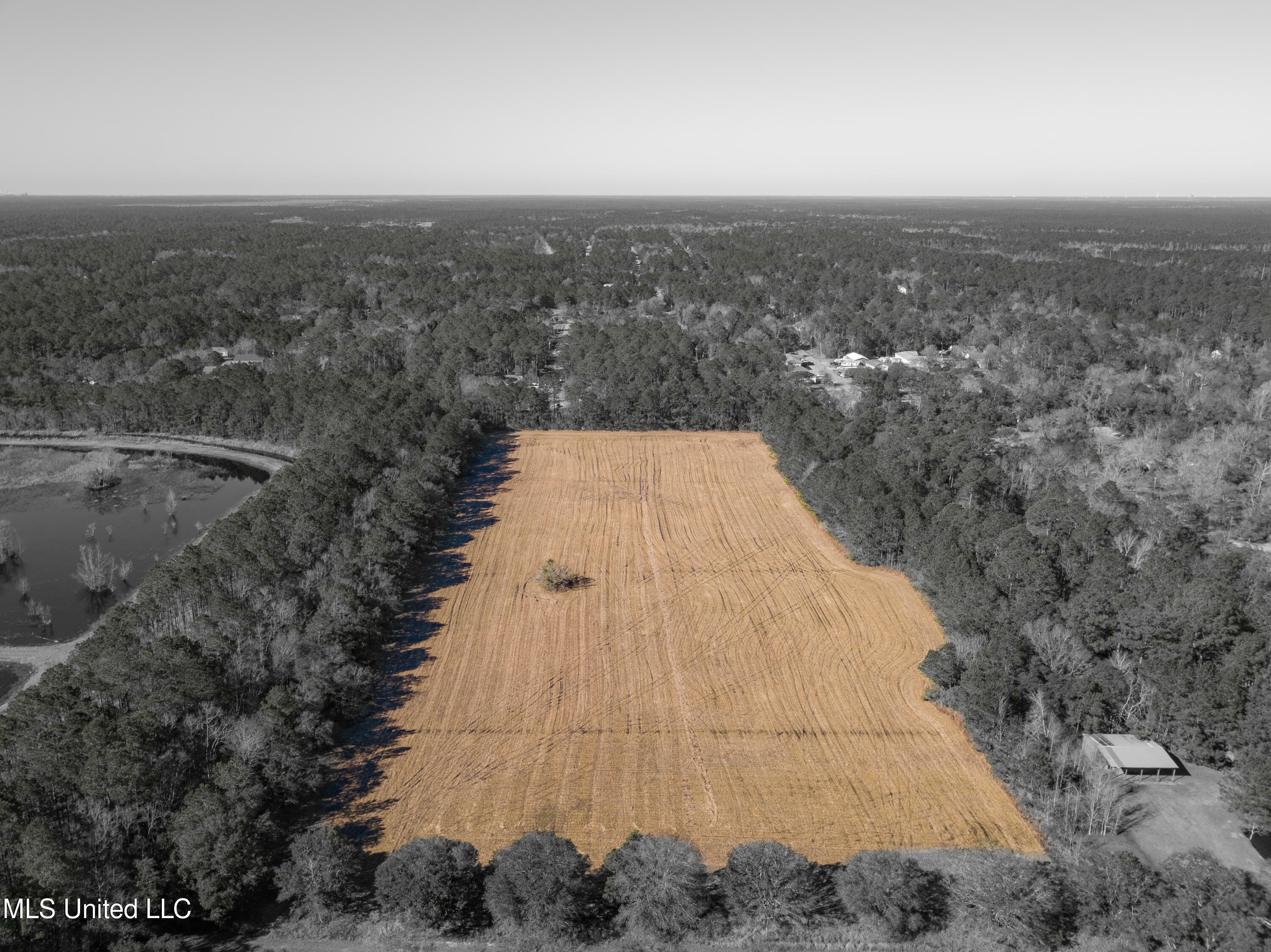 Property Photo:  Old Gainsville Rd Road  MS 39520 